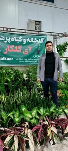 گلخانه آی گلکار 3