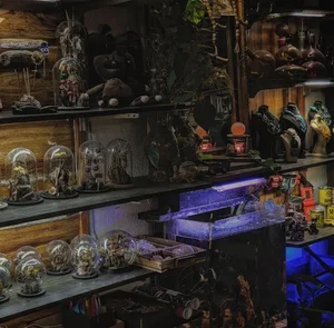 Gong store