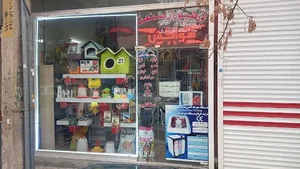 کلینیک دامپزشکی آذربایجان 3