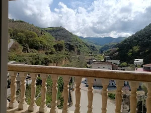 مجتمع حلما حبیبی
