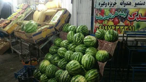 میوه و تره بار فدک