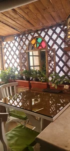 کافه سی سی کام 5