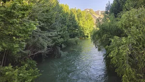 باغ بهادران
