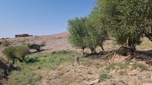 چشمه شش