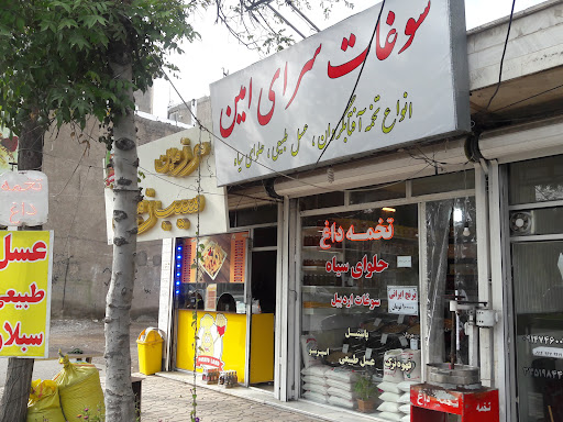 آجیل دست چین امین