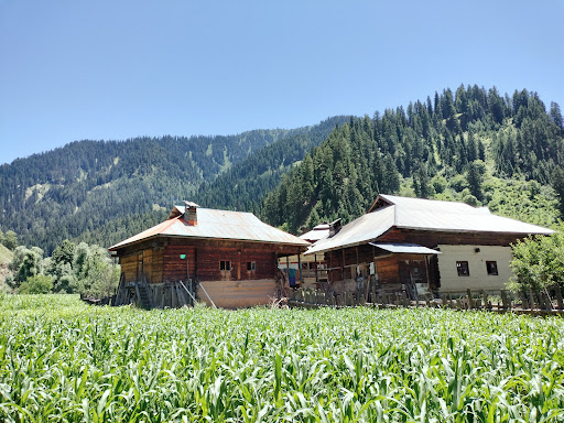Taobat Tent Village