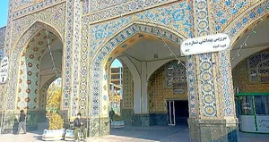 سرویس بهداشتی