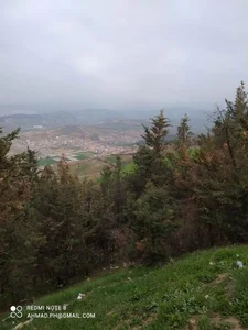 تفرجگاه هزار پیچ 2