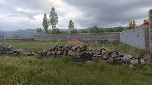 شکوری