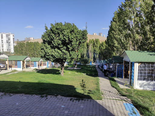 Alaçatı piknik Ankara
