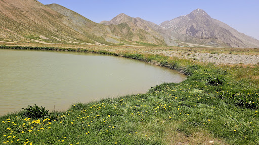 برکه