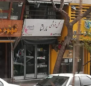 گل فروشی مارانتا 4