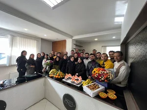 شرکت مهندسی کامپیوتر پژواک