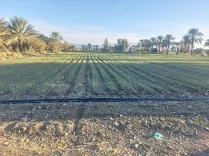 پاساژ مروارید