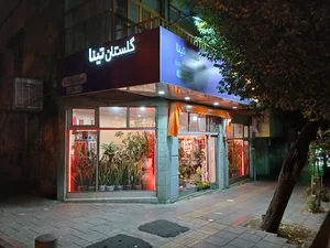 گل‌فروشی تینا