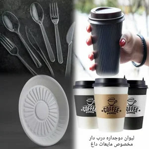 ظروف یکبار مصرف آیدین