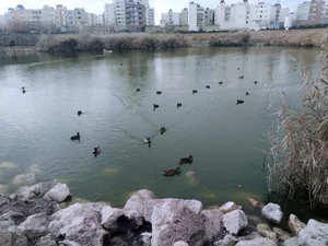 پارک فروزان 3