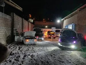 تعمیرگاه تخصصی کارلوکس