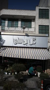 گل سرای شادی 2