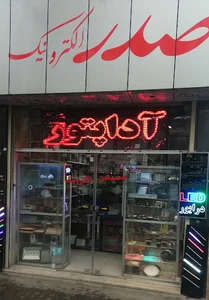 دزدگیر مستر