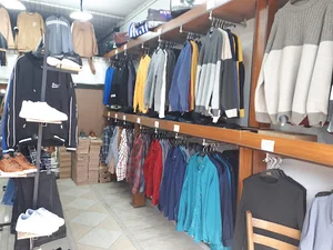 کالکشن علی