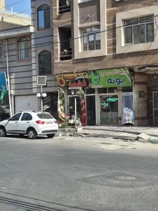 سبزی جات آماده به طبخ پونه 2
