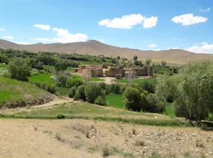 بیمارستان)مادر محسن