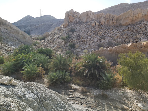 چشمه مطریه