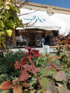 دیاری شاپ (diyarishop)