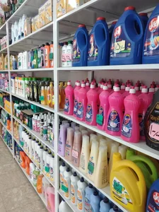 شوینده و بهداشتی اطلس 2