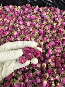 عطاری بزرگ میخک طلایی