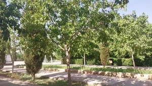بوستان مادر 3