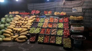 میوه فروشی خانی
