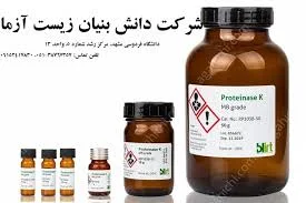 اروم فناوران جوان