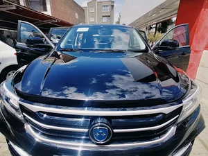 کارواش بخار Red