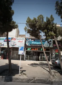 شال و روسری گل اندام
