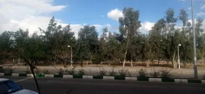 بوستان امام علی 4
