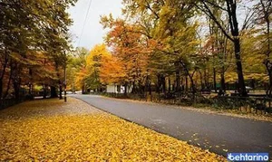 پارکینگ پارک جنگلی النگدره 5