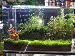 Mahiran Aquarium