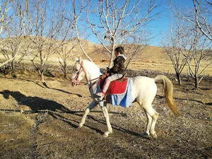 باغ ویلا طاها