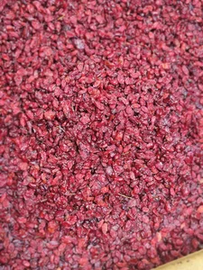 آجیل و خشکبار راد 2