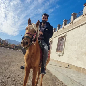 شرکت بسته بندی زعفران و ادویه