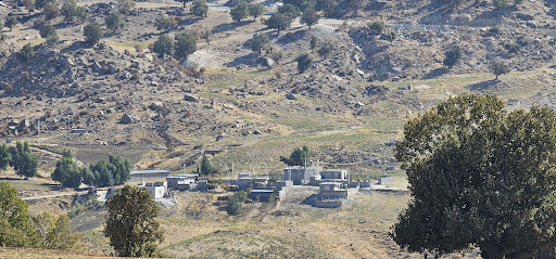 روستا وری