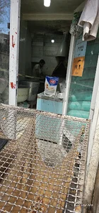 نانوایی سنگک ناصر