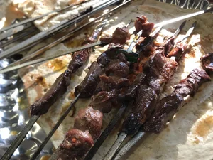 باربیکیو پاتریس Patris BBQ 3