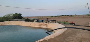 مزراع ياسر اللوزي ابو صالح