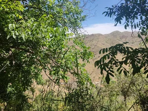 آهن فروشی
