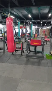 باشگاه بدنسازی ولیعصر (عکس)