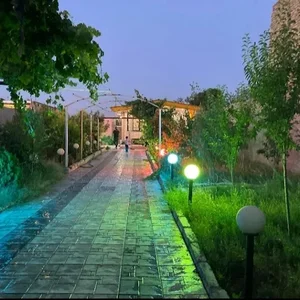 املاک مرکزی