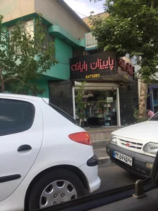 پائیزان رایانه